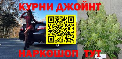 ГАЛЛЮЦИНОГЕННЫЕ ГРИБЫ Обь