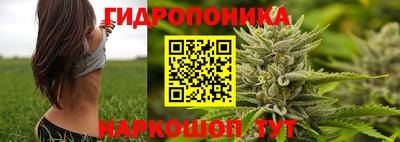 ГАЛЛЮЦИНОГЕННЫЕ ГРИБЫ Обь